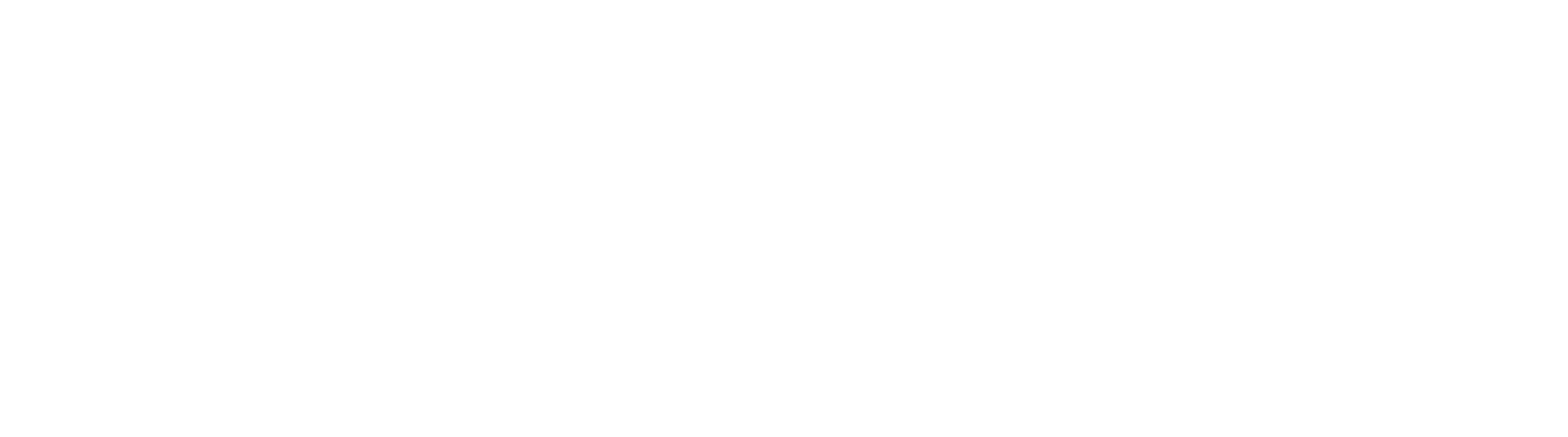 visual_renders_logo_white